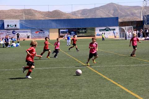 Las diferentes actividades de las Escuelas Deportivas Municipales de Albox finalizarn el prximo da 21 de junio
