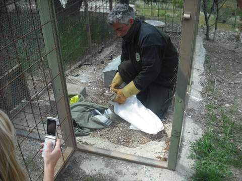 Agentes de Medio Ambiente de la Junta detectan jaulas-trampa para caza ilegal en la sierra de Las Estancias