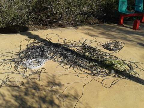 La Policía Local detiene a unos individuos mientras robaban cable del tendido eléctrico en Campohermoso