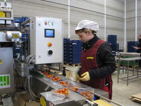 Noticia de Almera 24h: La empresa Balcn de Njar ampla su capacidad de envasado de tomate cherry ecolgico, con ayuda de la Junta