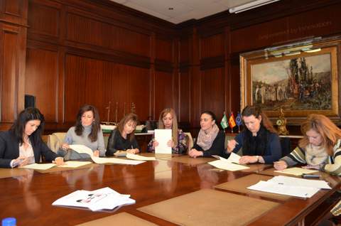 Las diputaciones andaluzas inician su trabajo conjunto en materia de igualdad para 2014