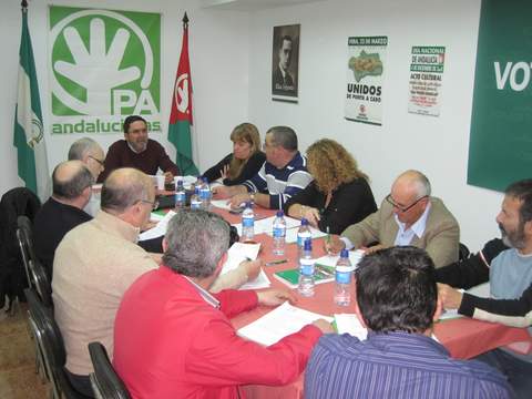Noticia de Almería 24h: El Partido Andalucista celebró en Almería su Consejo Político Provincial