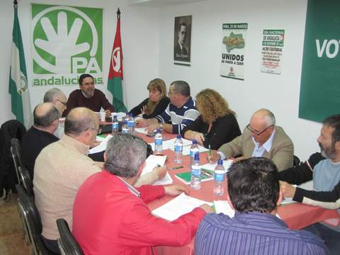 El Partido Andalucista celebr en Almera su Consejo Poltico Provincial