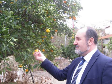 Noticia de Almera 24h: El 20% de las mandarinas que exporta Almera se enva a los mercados de Polonia, Rusia y Ucrania