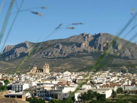 Ecologistas en Accin: Cinco razones en contra de la Cantera de la Alfesta