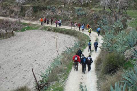 Noticia de Almería 24h: El senderismo del ‘Programa Naturaleza’ regresa el próximo domingo