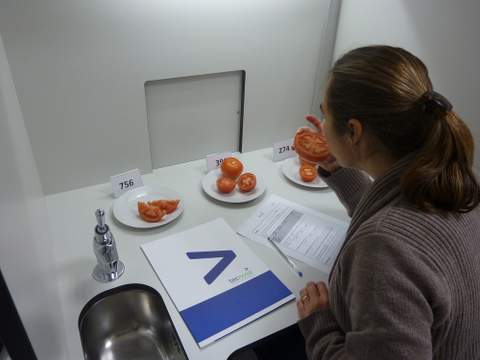 Noticia de Almera 24h: Fundacin Tecnova comienza la formacin de un panel de catadores expertos en anlisis sensorial de tomate