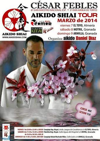 Noticia de Almera 24h: El Toyo acoge un curso del Maestro del Aikido, Csar Febles