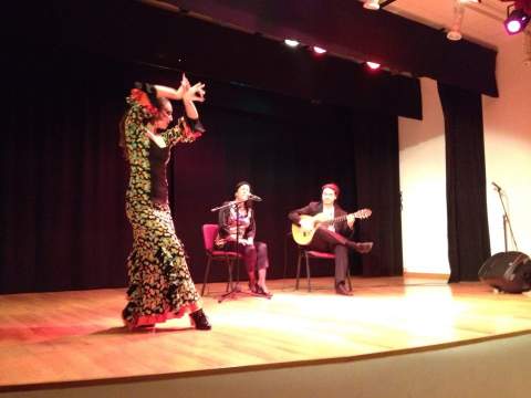 El flamenco puso el broche de oro al Da de la Mujer en Pechina