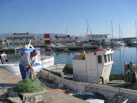 Noticia de Almera 24h: PP: El puerto de Roquetas, a pesar del compromiso de IU, contina sin plan para las casetas de los pescadores y sin la gran promesa de la ltima dcada, la fbrica de  hielo