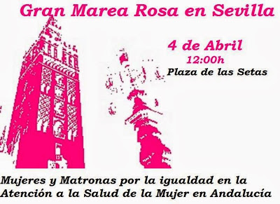 Noticia de Almera 24h: Las matronas llevan sus requerimientos, con un aval de ms de 6500 firmas, a Sevilla