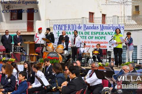 Noticia de Almera 24h: El centro Guadalinfo colabora con la Asociacin Espaola contra el Cncer en una jornada benfica