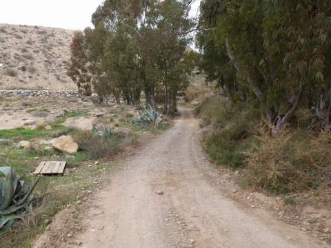 La Junta de Andalucía inicia los trabajos de mejora de dos caminos rurales municipales