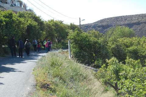 Noticia de Almería 24h: La Asociación Posidonia participa en la ruta de senderismo ‘El naranjo en flor’ organizada por el colectivo Culturandarax