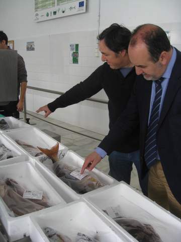 Noticia de Almería 24h: El desembarco de productos pesqueros se incrementa un 87% en las lonjas de Almería entre enero y marzo