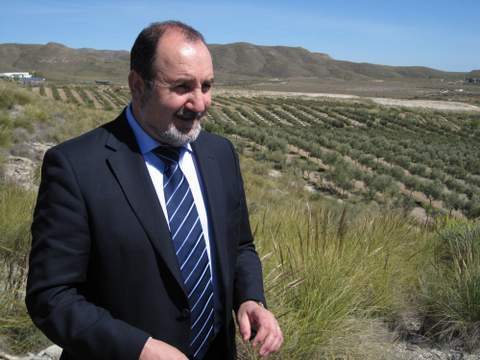 Almería incrementó casi un 100% el valor de las exportaciones de aceite de oliva el pasado año