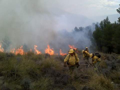 Noticia de Almería 24h: Más de 200 especialistas del Plan INFOCA trabajan en la extinción de los incendios de Somontín y Lucainena de las Torres