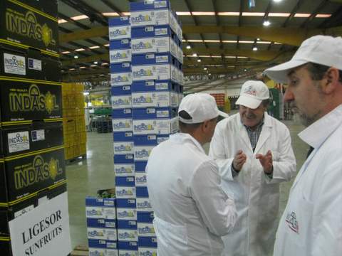 Almera incrementa un 7% el valor de las exportaciones de productos agroalimentarios hasta febrero