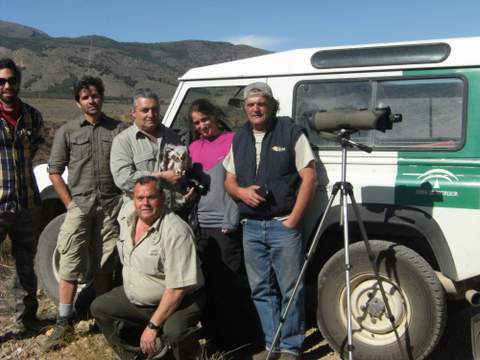 La Junta dona un pollo de águila perdicera de Almería para ayudar a la conservación de esta especie en Navarra