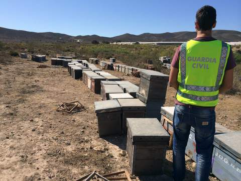 Noticia de Almería 24h: La Guardia Civil detiene al autor de la sustracción de más de 300 colmenas en explotaciones apícolas