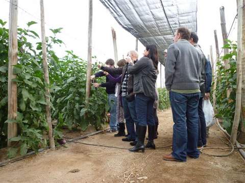 La Junta celebra un curso en La Mojonera sobre patgenos de suelo y mtodos de control en horticultura protegida
