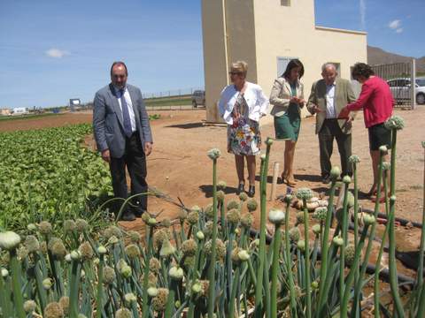 Almera registra en abril 49.000 afiliados en el sector agrario de la Seguridad Social, 1.000 ms que hace un ao