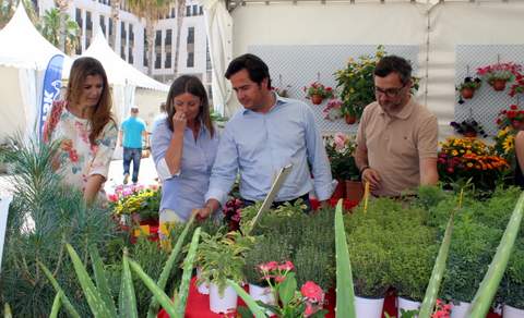 Noticia de Almera 24h: El Ejido celebra la II Feria de la Flor y Planta Ornamental Mercaflor