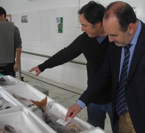 Almería exportó hasta febrero pescado fresco valorado en un millón de euros, un 15% más que en el año 2013