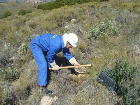 La Junta finaliza los trabajos de repoblacin en montes pblicos en Dalas y de conservacin de ecosistemas en Rioja