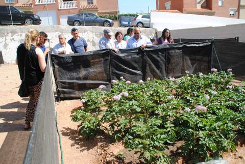 9 Desempleados y 4 jubilados son los ltimos felices adjudicatarios de los huertos urbanos de Huercal de Almera
