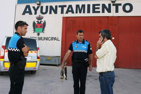 Noticia de Almería 24h: La Policía Local recupera un ejemplar de “Águila Calzada”, que se encontraba herido en una de sus alas