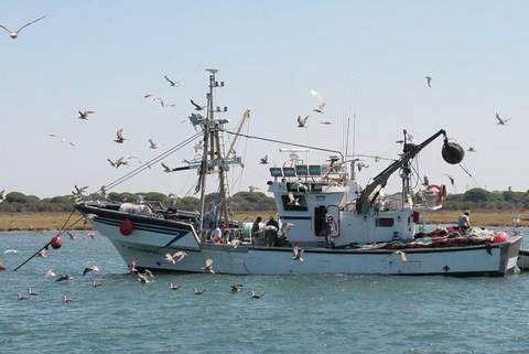 Noticia de Almería 24h: Medio Ambiente publica la nueva  Orden  General de Veda de la Pesca Continental 