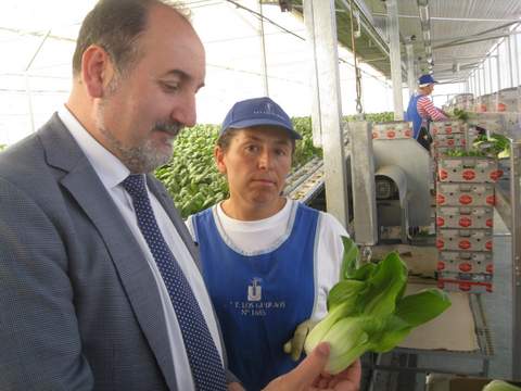Noticia de Almera 24h: El 46,5% de las verduras frescas que export Espaa en el primer trimestre de este ao son de Almera