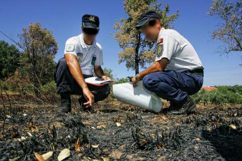 Noticia de Almera 24h: La Polica de la Junta imputa a dos personas como presuntos autores de sendos incendios forestales en Bdar y Olula del Ro