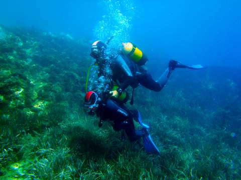La Aventura Submarina Costa de Almera est teniendo una alta demanda de inscripciones