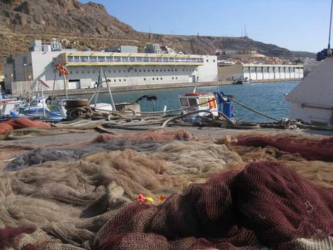 La Junta aprueba una ayuda de 135.000 euros para mejorar los sistemas de subasta de pescado en la Lonja de Almería