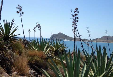 Noticia de Almera 24h: Las rutas tursticas de Cabo de Gata se diversifican