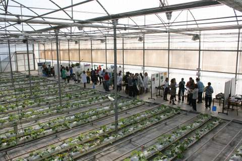 La Junta de Andaluca imparte un curso sobre fertirrigacin y medio ambiente en horticultura