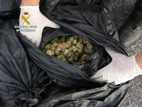 Sorprendidos con cerca de 7 kg. de marihuana intentan atropellar a dos agentes para huir