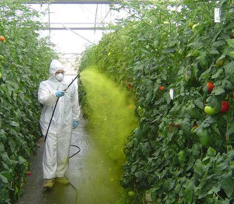 La Junta celebra un curso bsico de aplicador de productos fitosanitarios