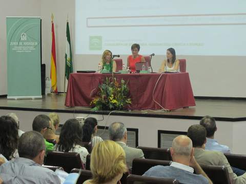 Noticia de Almera 24h: Ms de 120 personas se informan en una jornada sobre el Programa Emple@Joven de la Junta de Andaluca