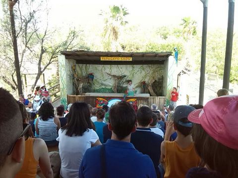Noticia de Almera 24h: Ms de 70 pechineros han disfrutado este domingo del Parque Temtico Oasys del Desierto de Tabernas