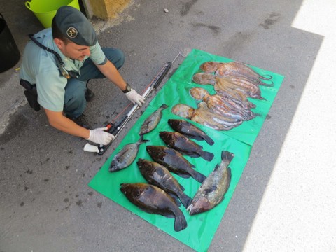 Noticia de Almera 24h: La Guardia Civil sorprende a un furtivo en el Parque Natural de Cabo de Gata-Njar