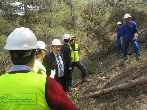 Noticia de Almera 24h: La Junta ha generado 30.000 jornales en obras de mejora forestal, desde el inicio del Plan de Choque por el Empleo