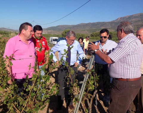 El subdelegado del Gobierno visita la zona afectada por el granizo en Laujar de Andarax