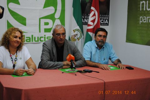 Noticia de Almería 24h: El PA, primer partido en anunciar su candidata
