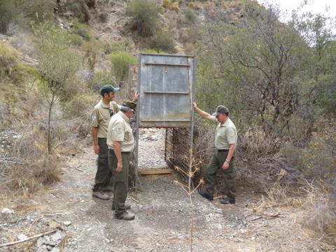 Agentes de Medio Ambiente retiran una jaula para la caza furtiva en el Parque Natural Cabo de Gata-Njar