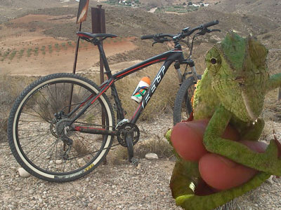 Mis rutas en MTB. Carboneras  Fernn Prez