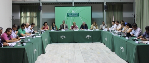 El Plan Director del Olivar promover la modernizacin y competitividad del sector con ms de 100 actuaciones