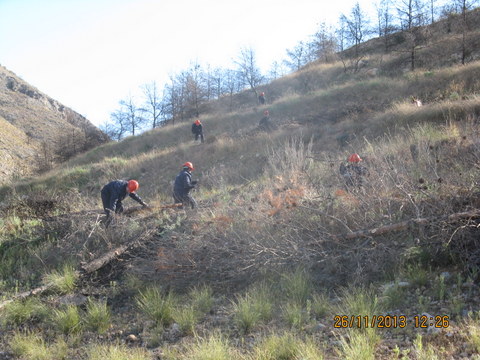 La Junta finaliza los trabajos de mejora en montes pblicos del norte de la provincia para prevenir incendios 
